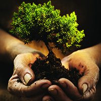 E tu come celebri la Giornata Mondiale della Terra?