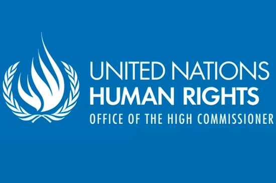 UN_Human_Rights_Commissioner_550
