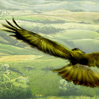 medhelangraphicnovel200x200