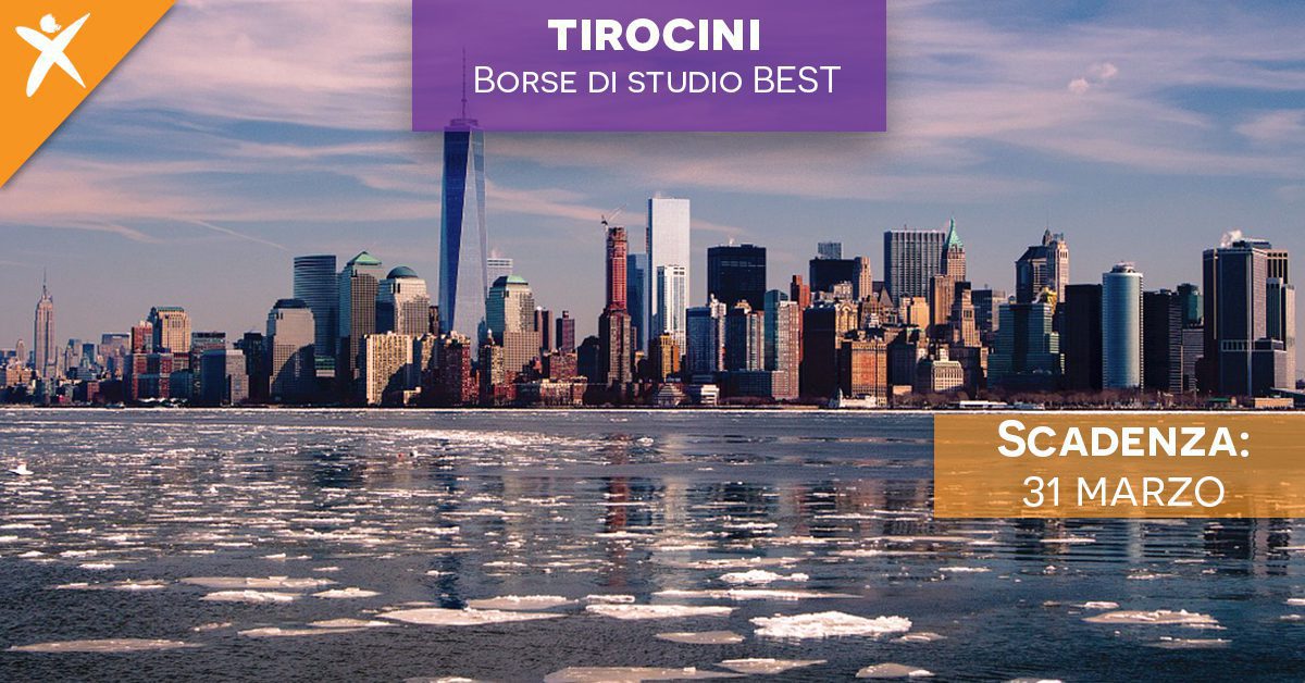 borse di studio best
