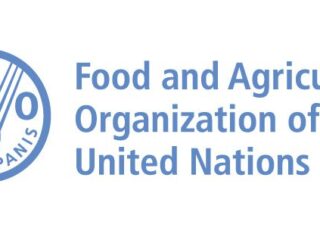 Stage retribuiti alla FAO