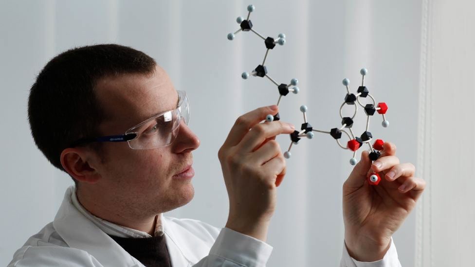 Leibniz – DAAD Research Fellowship in Germania