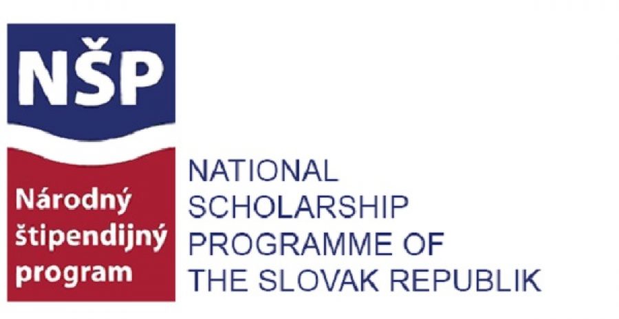 Borse di studio in Slovacchia per studenti, artisti e ricercatori