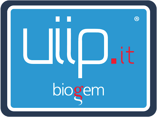 UIIP: Programma di Formazione e Lavoro nel campo dell’ICT per 40 neolaureati