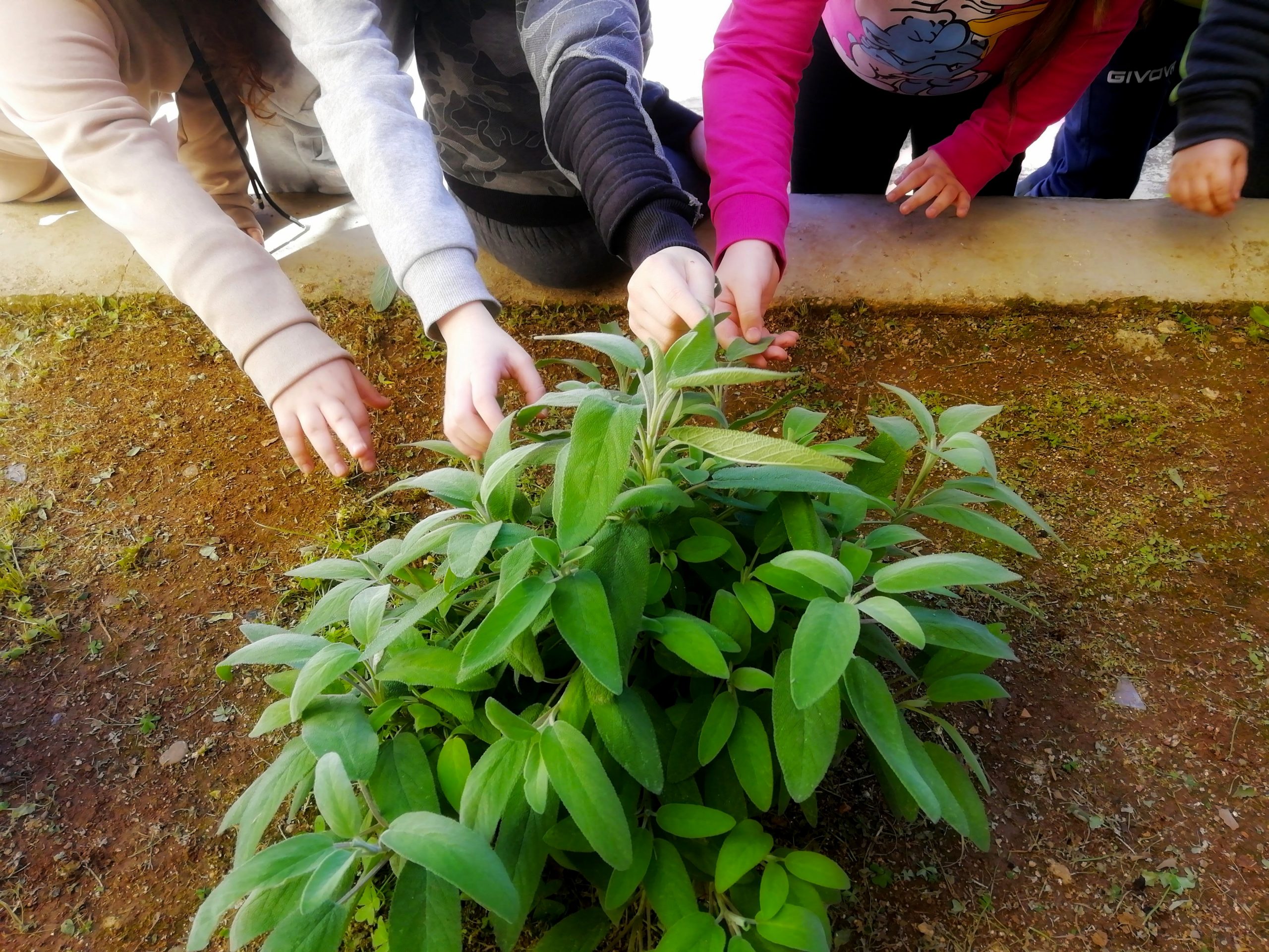 Attività per bambini, genitori e docenti: continuano i laboratori e le formazioni di C.A.S.A. a Ballarò