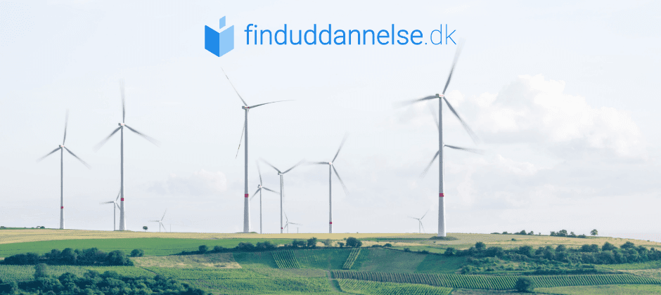 Borsa di studio sulla sostenibilità