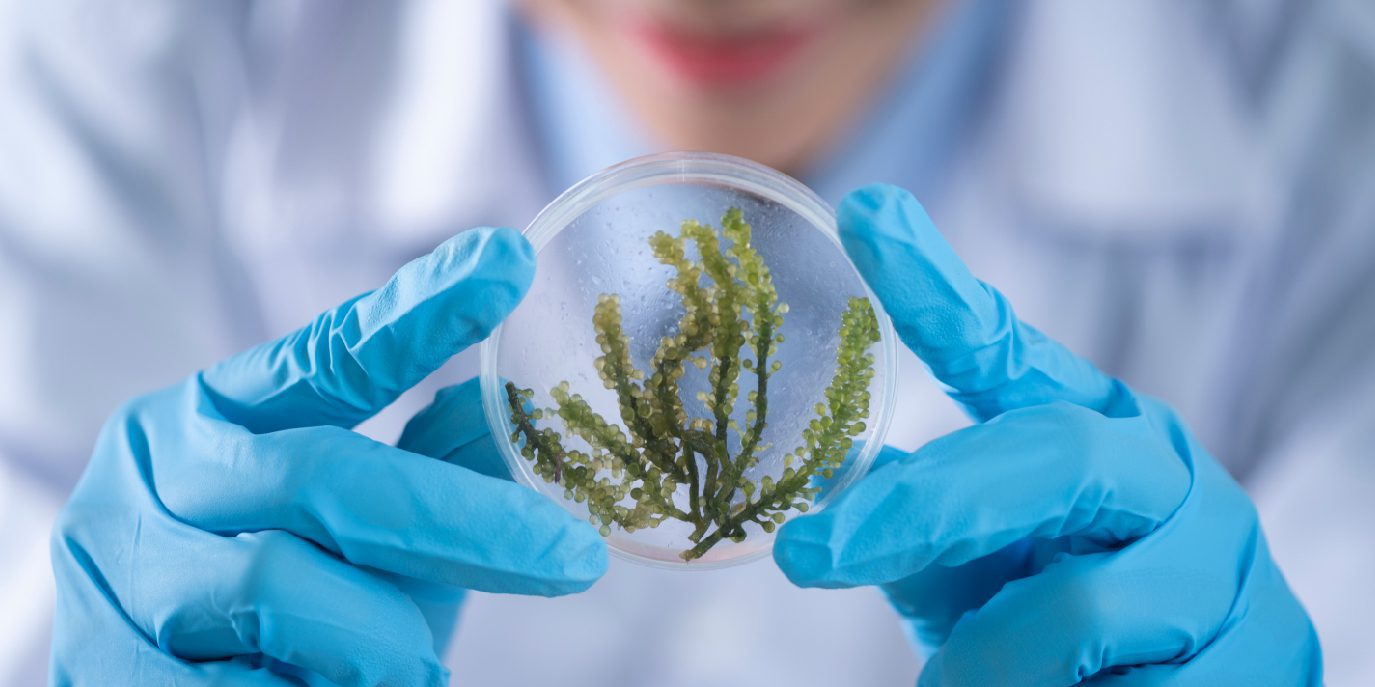 Il Festival delle Scienze a Ballarò