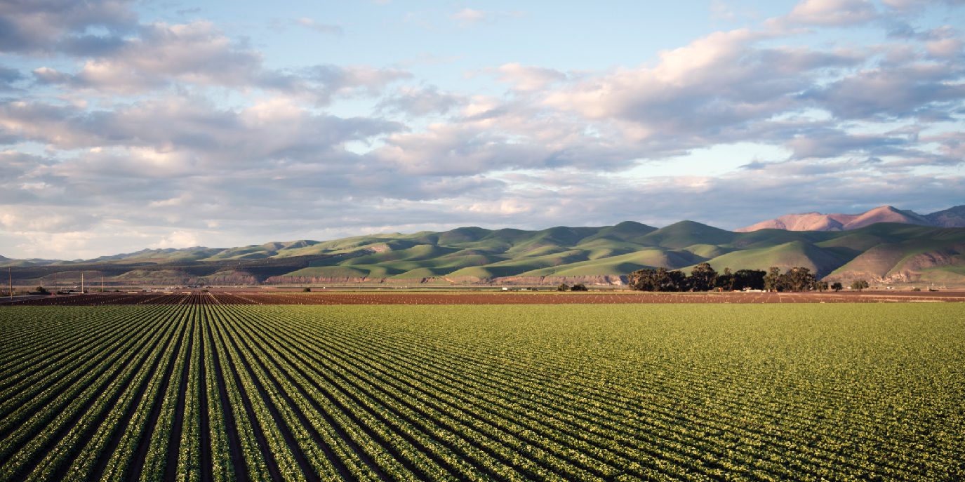 Stage retribuiti IFAD (Fondo Internazionale per lo Sviluppo Agricolo)