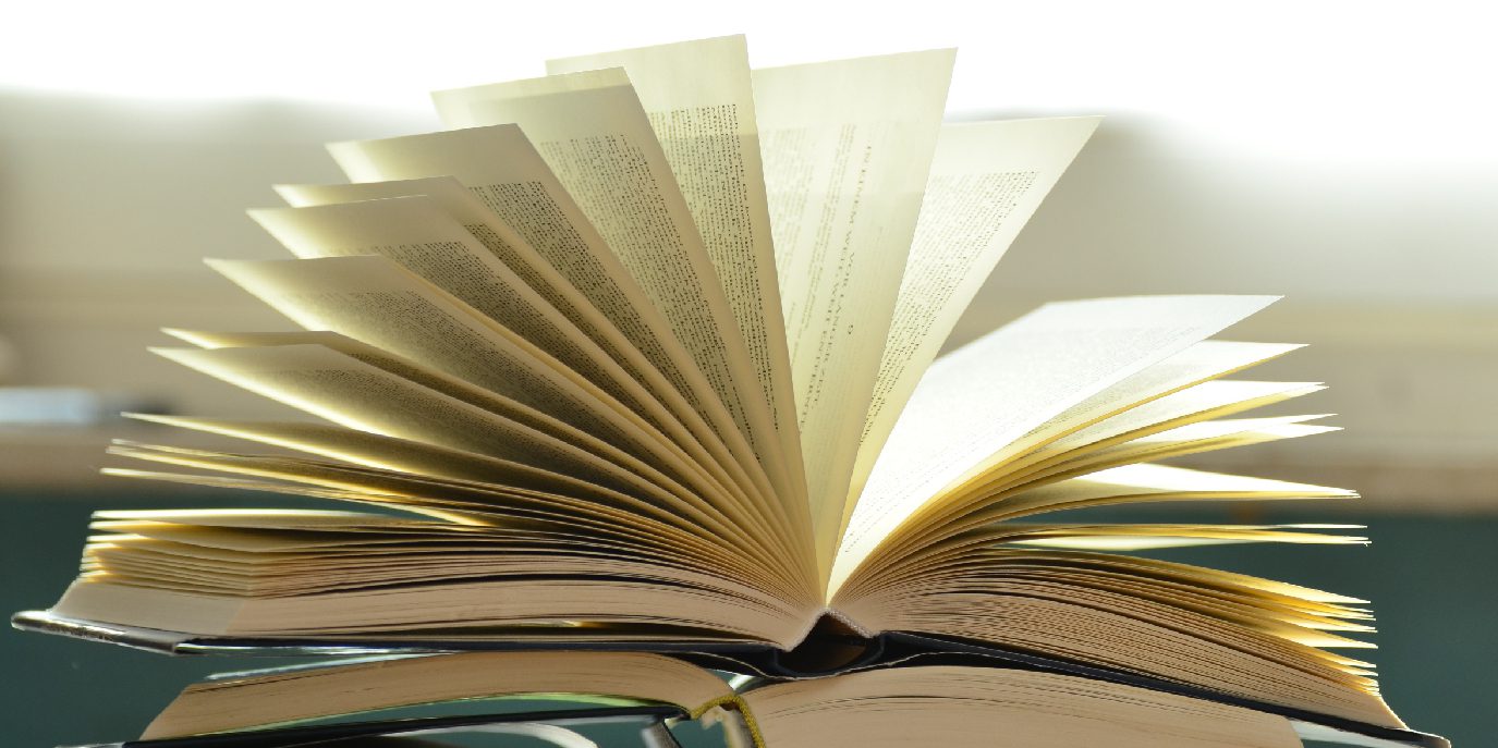 Borse di studio della Fondazione Heinrich Böll in Germania