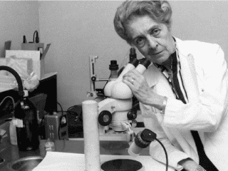 Nuova call per il “Programma Rita Levi Montalcini”