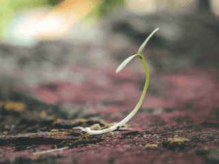 Bando "Terre colte", coltiva l'amore per la tua terra