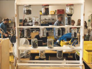 Immaginare un'economia nuova. Economia circolare e innovazione sociale: il futuro del terzo settore